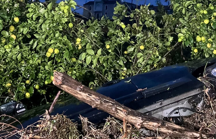 Καταστροφές από τη κακοκαιρία Byron στη Λακωνία. Πέμπτη 4 Δεκεμβρίου 2025 (φωτ.: apohxos.gr)