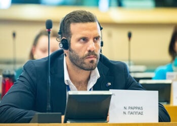 Ο Νίκος Παππάς σε συνεδρίαση για την ευρωπαϊκή στρατηγική για τους νέους και τις νέες (φωτ.: Ευρωπαϊκό Κοινοβούλιο)