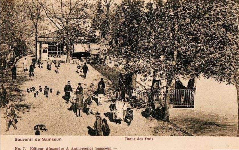 Καρτ ποστάλ του προηγούμενου αιώνα με παζάρι φρούτων στη Σαμψούντα (φωτ.: picryl.com)