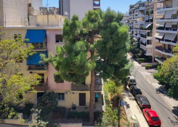 Πολυκατοικίες σε γειτονιά της Αθήνας (φωτ.: EUROKINISSI / Γιάννης Παναγόπουλος)