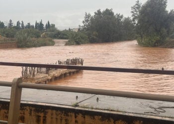 Ο Σαρανταπόταμος στην Ελευσίνα, Παρασκευή 5 Δεκεμβρίου 2025 (φωτ.: Facebook / Maria Tsolaki)