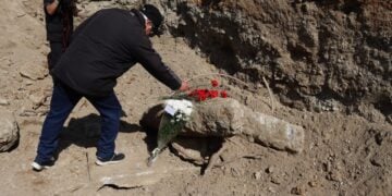 Λίγα λουλούδια στη μνήμη των νεκρών που βρέθηκαν στον ομαδικό τάφο (φωτ.: Δήμος Νεάπολης-Συκεών)