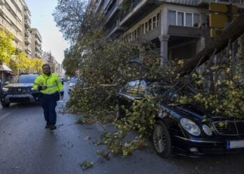 Δέντρο έχει πέσει πάνω σε αυτοκίνητο εν κινήσει στην οδό Βασιλέως Γεωργίου (φωτ.: ΜΟΤΙΟΝΤΕΑΜ/Βασίλης Βερβερίδης)