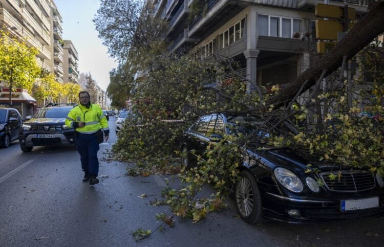 Δέντρο έχει πέσει πάνω σε αυτοκίνητο εν κινήσει στην οδό Βασιλέως Γεωργίου (φωτ.: ΜΟΤΙΟΝΤΕΑΜ/Βασίλης Βερβερίδης)