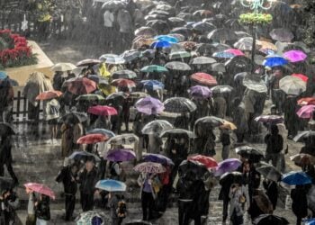 (Φωτ.: EUROKINISSI/Τατιάνα Μπόλαρη)