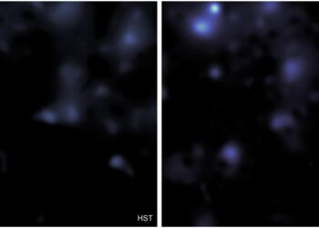 Εικόνα με την κατανομή της σκοτεινής ύλης στην περιοχή COSMOS, όπως παρατηρήθηκε από τα διαστημικά τηλεσκόπια Hubble (αριστερά) και James Webb (δεξιά) (φωτ.: Dr Gavin Leroy/Professor Richard Massey/COSMOS-Webb collaboration)