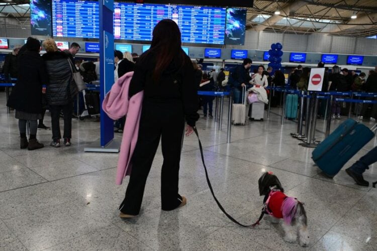 Στιγμιότυπο από τον Διεθνή Αερολιμένα Αθηνών «Ελευθέριος Βενιζέλος», την Κυριακή 4 Ιανουαρίου 2026, όταν καθηλώθηκαν τα αεροπλάνα σε όλα τα ελληνικά αεροδρόμια (φωτ.: Τατιάνα Μπόλαρη/ EUROKINISSI)