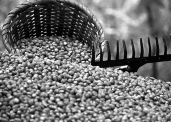 (Φωτ.: pixabay.com / nazimnadir)