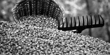 (Φωτ.: pixabay.com / nazimnadir)