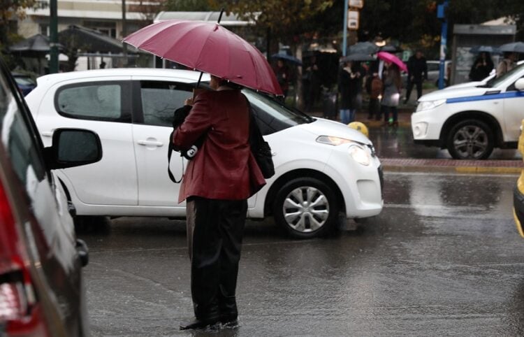 (Φωτ.: Δανάη Δαυλοπούλου/Eurokinissi)