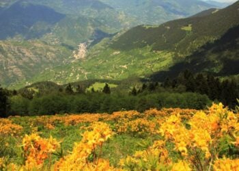 Η φύση που πάντα εντυπωσιάζει στη Ματσούκα δεν άφησε ασυγκίνητους τους Ανεφορίτες της ιστορίας μας (πηγή: sirtcantam.com.tr)