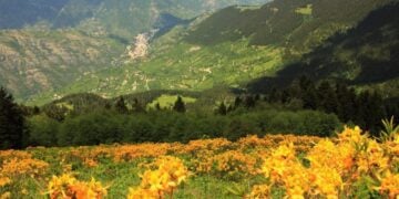 Η φύση που πάντα εντυπωσιάζει στη Ματσούκα δεν άφησε ασυγκίνητους τους Ανεφορίτες της ιστορίας μας (πηγή: sirtcantam.com.tr)