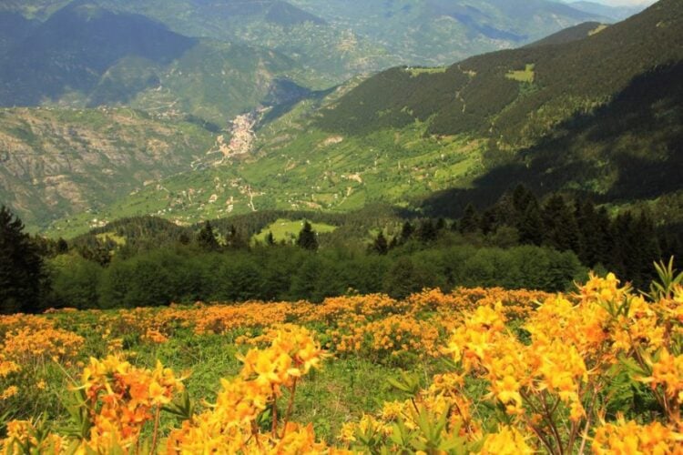 Η φύση που πάντα εντυπωσιάζει στη Ματσούκα δεν άφησε ασυγκίνητους τους Ανεφορίτες της ιστορίας μας (πηγή: sirtcantam.com.tr)