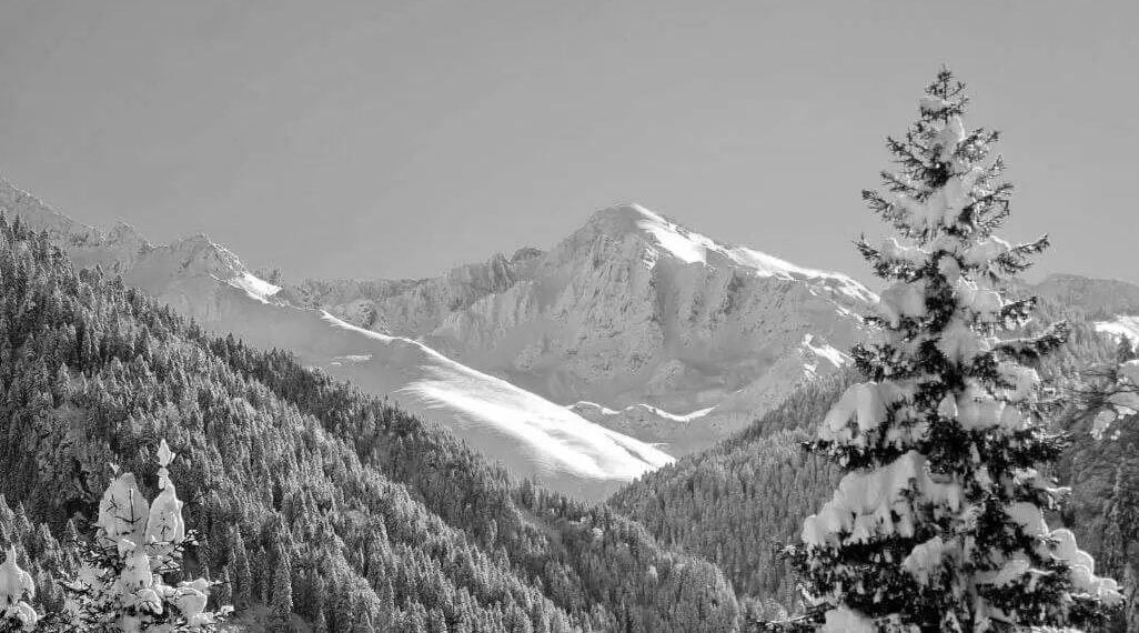 Άποψη της υψηλότερης κορυφής των Ποντικών Άλπεων (φωτ.: pexels.com)