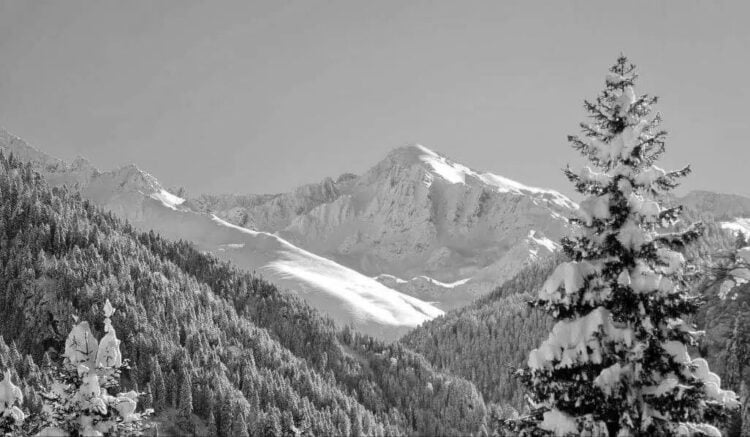 Άποψη της υψηλότερης κορυφής των Ποντικών Άλπεων (φωτ.: pexels.com)