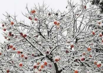 (Πηγή: facebook.com/ TRABZON (YEMEKLER-COĞRAFYA-KÜLTÜR))