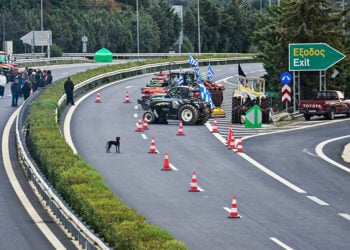 (Φωτ.: EUROKINISSI / Βασίλης Παπαδόπουλος)