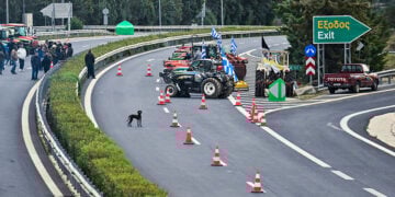 (Φωτ.: EUROKINISSI / Βασίλης Παπαδόπουλος)