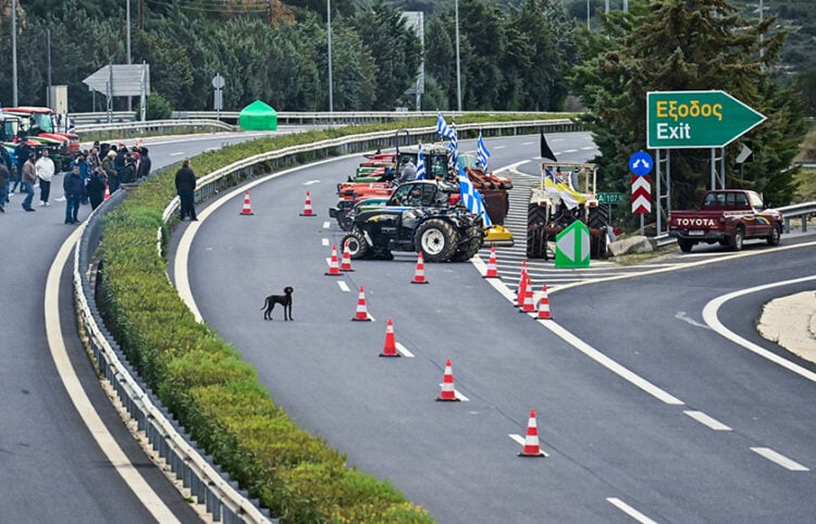 (Φωτ.: EUROKINISSI / Βασίλης Παπαδόπουλος)
