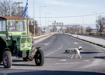 (Φωτ. EUROKINISSI)