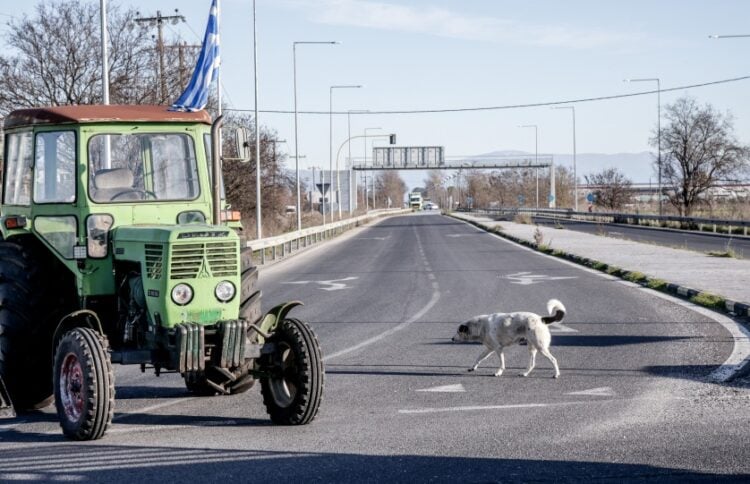 (Φωτ. EUROKINISSI)