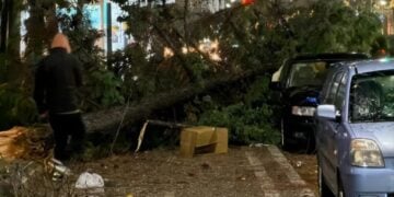 (Πηγή: e-evros.gr)