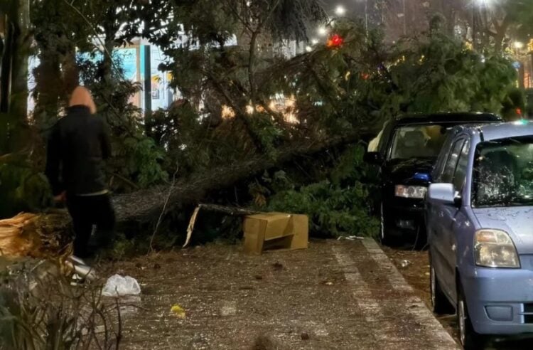 (Πηγή: e-evros.gr)