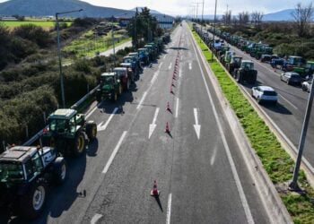 (Φωτ.: EUROKINISSI/Τατιάνα Μπόλαρη)