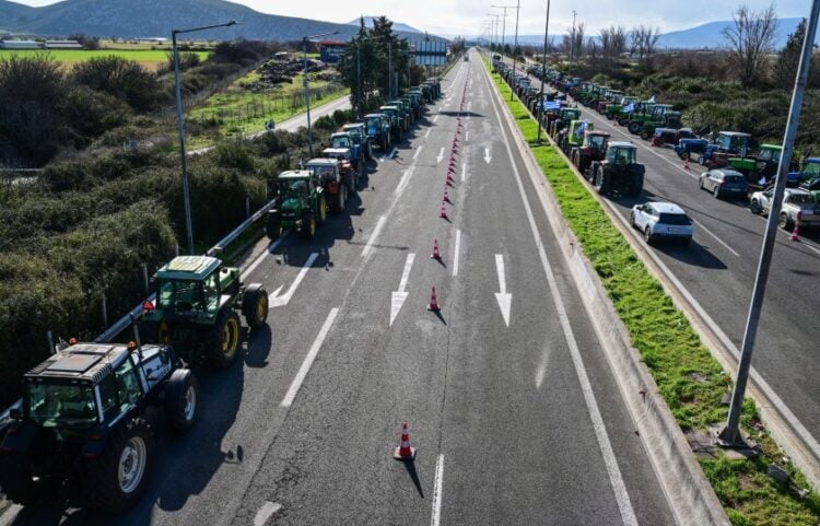 (Φωτ.: EUROKINISSI/Τατιάνα Μπόλαρη)