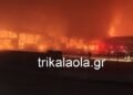 Η φωτιά φαίνεται ότι έχει καταστρέψει σχεδόν ολοκληρωτικά το εργοστάσιο (φωτ.: trikalaola.gr)