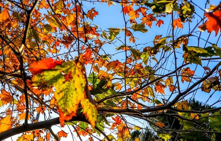 (Φωτ.: EUROKINISSI/Γιώργος Κονταρίνης)