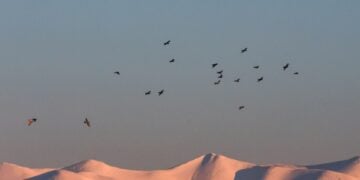 Χιονισμένες οι κορυφές του Ολύμπου (φωτ.: EUROKINISSI)