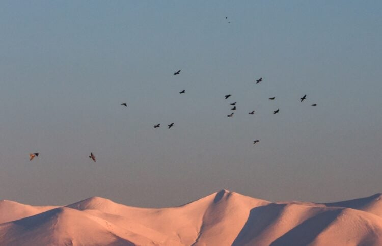 Χιονισμένες οι κορυφές του Ολύμπου (φωτ.: EUROKINISSI)