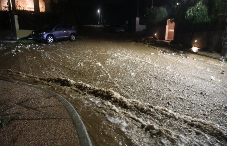 (Φωτ.: EUROKINISSI/Γιάννης Παναγόπουλος)