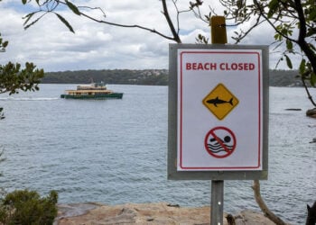 Η παραλία στην οποία δέχθηκε την επίθεση ο 12χρονος (φωτ.: EPA / Sitthixay Ditthavong)