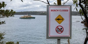 Η παραλία στην οποία δέχθηκε την επίθεση ο 12χρονος (φωτ.: EPA / Sitthixay Ditthavong)