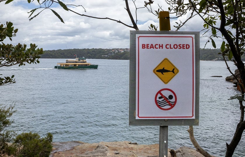 Η παραλία στην οποία δέχθηκε την επίθεση ο 12χρονος (φωτ.: EPA / Sitthixay Ditthavong)