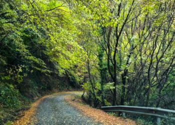 (Φωτ.: EUROKINISSI/Γιώργος Κονταρίνης)