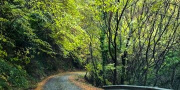 (Φωτ.: EUROKINISSI/Γιώργος Κονταρίνης)