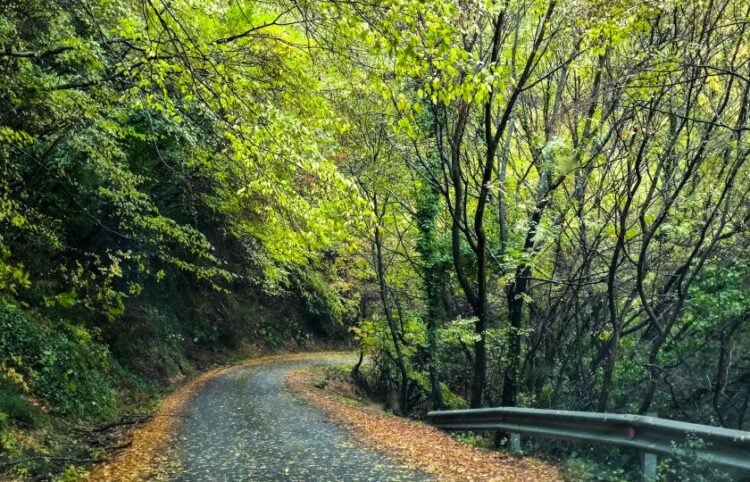 (Φωτ.: EUROKINISSI/Γιώργος Κονταρίνης)