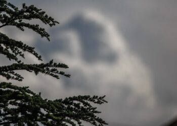 (Φωτ.: Θανάσης Καλλιαράς/EUROKINISSI)