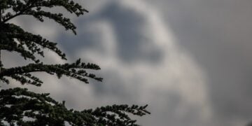 (Φωτ.: Θανάσης Καλλιαράς/EUROKINISSI)