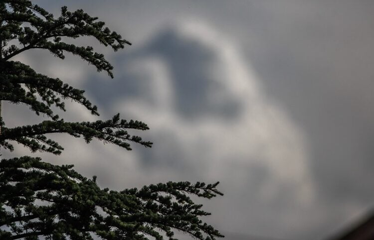 (Φωτ.: Θανάσης Καλλιαράς/EUROKINISSI)