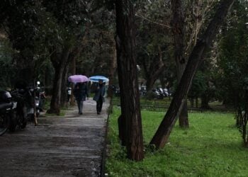 (Φωτ.: Δανάη Δαυλοπούλου/EUROKINISSI)