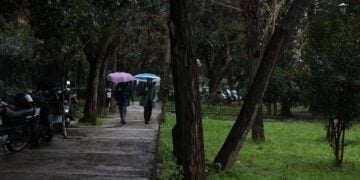 (Φωτ.: Δανάη Δαυλοπούλου/EUROKINISSI)