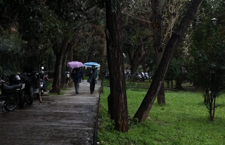 (Φωτ.: Δανάη Δαυλοπούλου/EUROKINISSI)