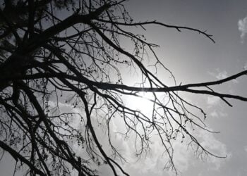 (Φωτ.: Βασίλης Παπαδόπουλος/ EUROKINISSI)