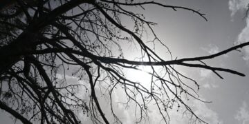 (Φωτ.: Βασίλης Παπαδόπουλος/ EUROKINISSI)