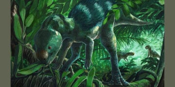 Καλλιτεχνική αναπαράσταση του Foskeia pelendonum (εικ.: Martina Charnell)