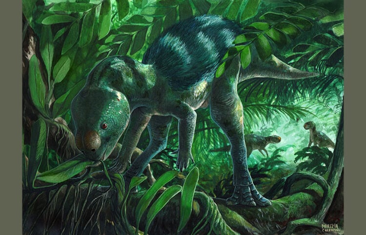 Καλλιτεχνική αναπαράσταση του Foskeia pelendonum (εικ.: Martina Charnell)